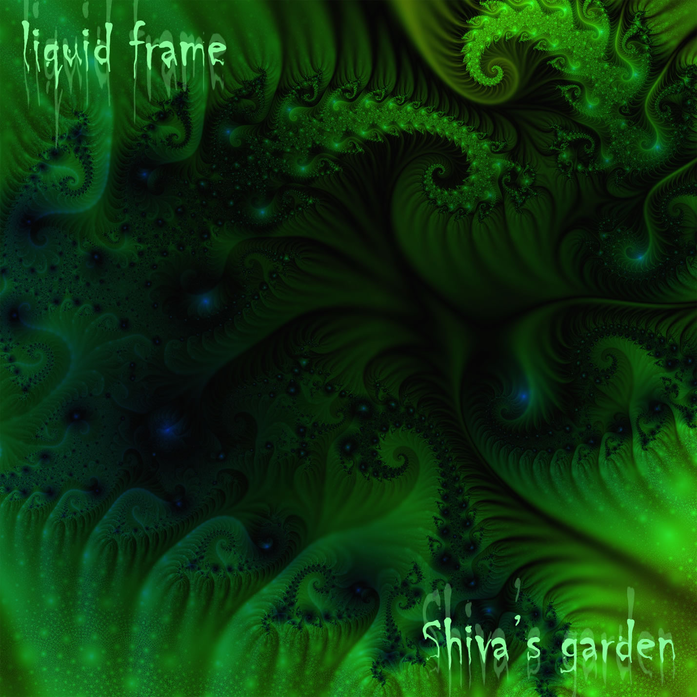 Liquid Frame - Shiva's garden